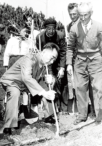 周恩来总理在云南海口林场亲自栽种橄榄树.jpg