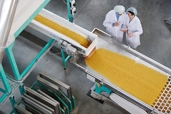 摄图网_503013220_在通心粉厂食品生产质量检查期间两名工厂人站在传送带上的视（企业商用）_proc.jpg